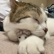 ひかり⭐️