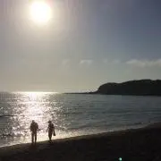Rukaの画像