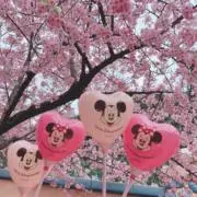 pamu・。.♡の画像