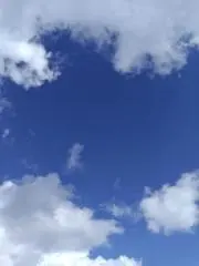 リナムの画像