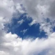 オサダ センサーカップ給水フィルター - メルカリ