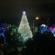 CLOVERの画像