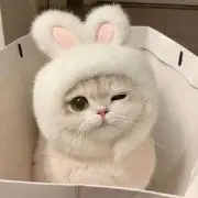 なさんの画像