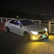 まんぼーの画像