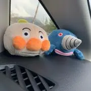 Nの画像