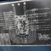 ナナの画像