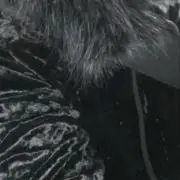 yasuyuki ishii 10周年アニバーサリーレザーブルゾンジャケット - メルカリ