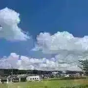 ＊bon＊の画像