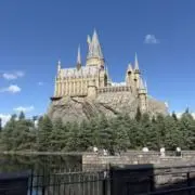ともろんの画像