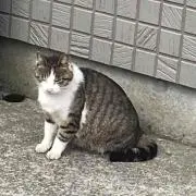 HIMA☆
