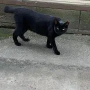 ＼の画像