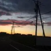 まめすけ