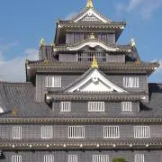 梅干し