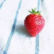 しろいるかの画像
