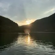 tigの画像