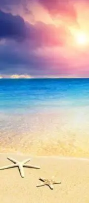 ALOHA　BEACH　プロフ必読の画像