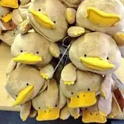 もこの画像