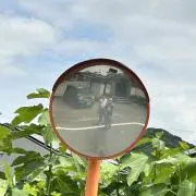 sHoKaの画像