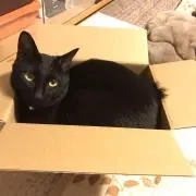 nasuの画像