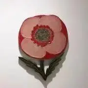 daisyの画像