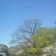 アズザスカイの画像