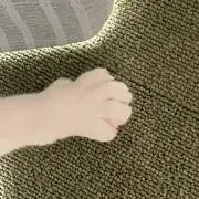 めたはの画像
