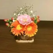 ゆきの画像