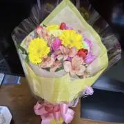 ねねの画像