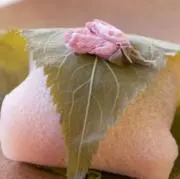 さくらもちの画像