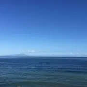 アンナミラの画像