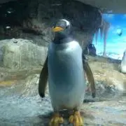 すん