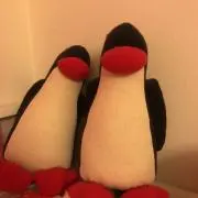 trの画像