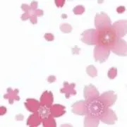 さくらの画像