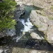 趣味人の画像