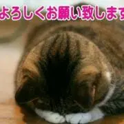 ヘギョンの画像