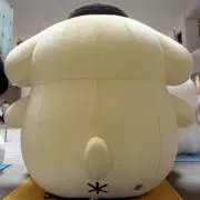 しい6/27のみ配送不可の画像