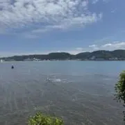 ソラの画像