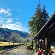 ハナ ハナの画像