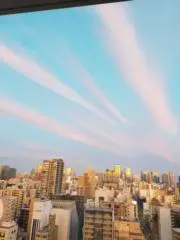 SaIyの画像