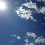 だいぷくの画像
