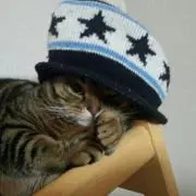 きよはる