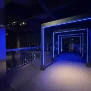 パトラッシュの画像