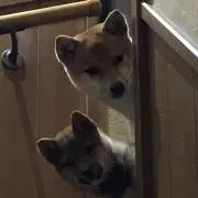 みきぽん。