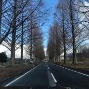 g.sの画像