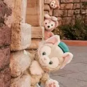 きなこの画像