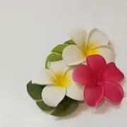 りんご＆なし (まとめ&値下げ相談可)の画像