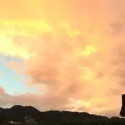 ぷにゅぷにゅ☆の画像
