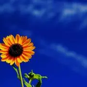 にこにこ