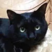 Mi★kA