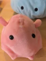 睦起の画像